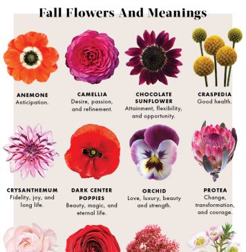 flowers-meanings