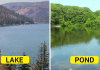 Differences between lake and pond